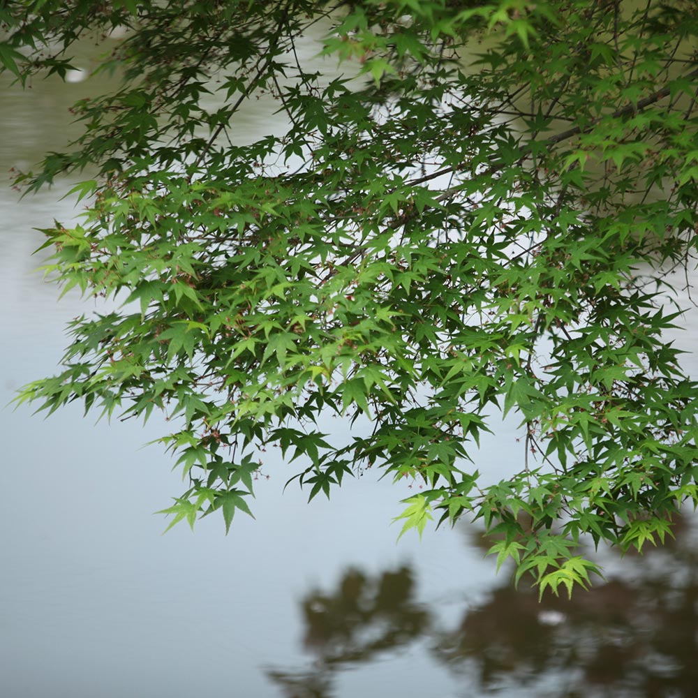 御船山楽園